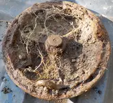 DSCN0891.webp
