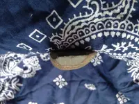 image.webp image.webp