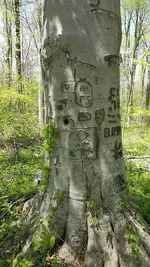 20150502_142135.webp