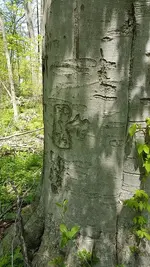 20150502_142147.webp