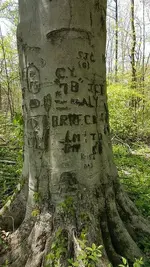 20150502_142217.webp