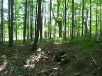 site1.webp