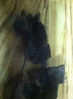 image-1200308010.webp