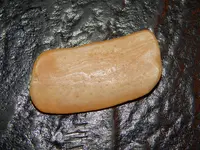 DSCN0385.webp