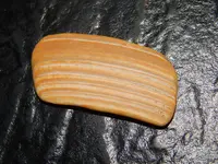 DSCN0386.webp