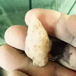 ImageUploadedByTreasureNet.com1432947814.717754.webp