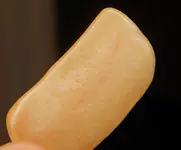 DSCN0390.webp