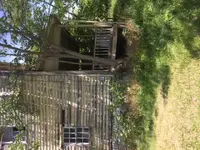 Diary1.webp