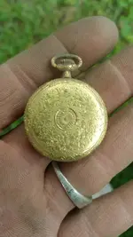 1433447657120.webp