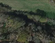 Farm 11.webp