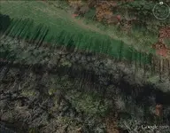 Farm 12.webp