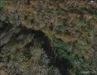 Farm 13.webp