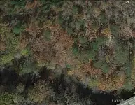 Farm 15.webp