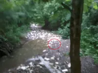 222.webp