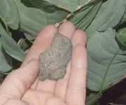 DSCF4716.webp