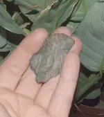 DSCF4715.webp