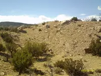 IMAG0136.webp