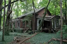 8c2b886a-bdde-4607-82e2-47f6627d87dc-Image.webp