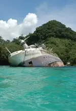 cruise_1a.webp