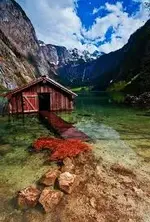 images.webp