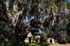 wispyTreeHouse-frontMid.webp