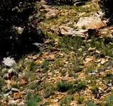 Dscf1960-C.webp