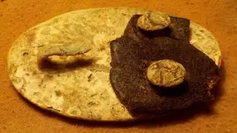 DSCN0530.webp