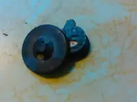 717herlong4.webp 717herlong4.webp