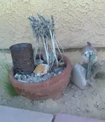 CAM01013-1.webp