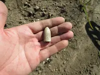 bullet in hand.webp