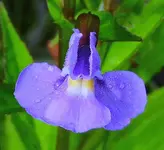 010.webp 010.webp