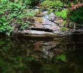 019.webp 019.webp