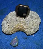 20150613_005152.webp 20150613_005152.webp