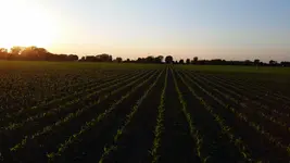20150523_201746.webp