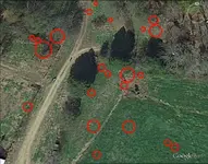 Farm1-chancey55.webp