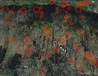 Farm8-chancey55.webp