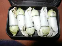 DSCN0119.webp