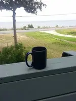 view.webp