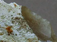 FieldStone-2015-06-20-Img_6330EdgeC.webp FieldStone-2015-06-20-Img_6330EdgeC.webp