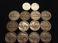 5.30.15 nickels backs.webp