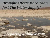 Drought-Affects.webp