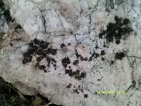 DSCF0028.webp