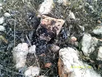 DSCF0029.webp