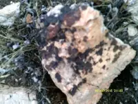 DSCF0030.webp