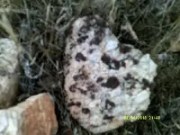 DSCF0033.webp