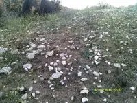 DSCF0035.webp