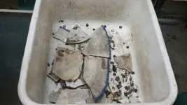 1436397952763.webp