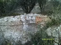 DSCF0040.webp
