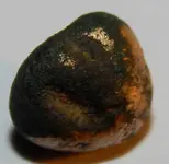 DSCN0548.webp