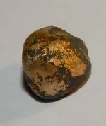DSCN0550.webp